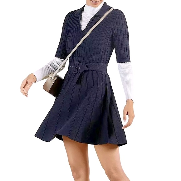 Ted Baker London Dresses & Skirts - NWOT Ted Baker Aleee Collared Knit Skater Dress